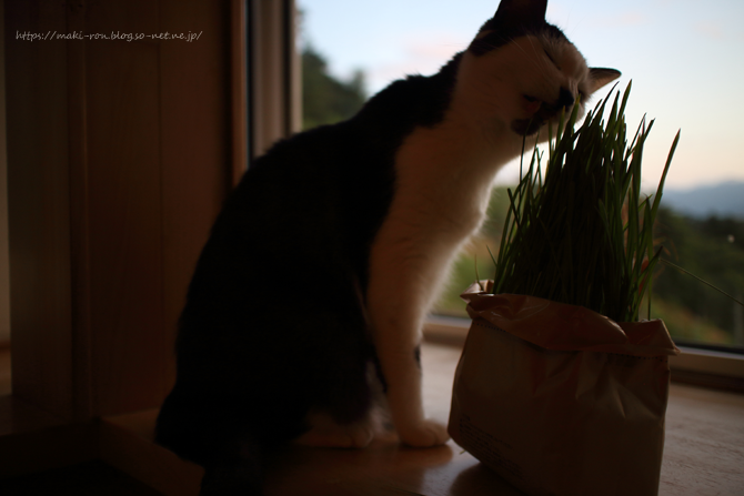 IMG_5485.png