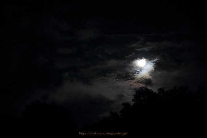 IMG_5593.png