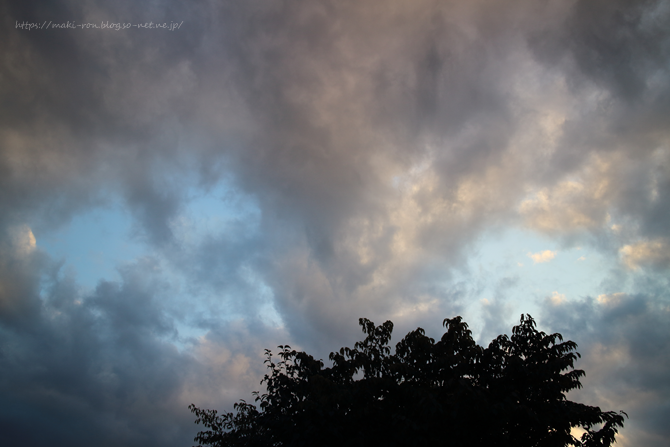 IMG_5613.png