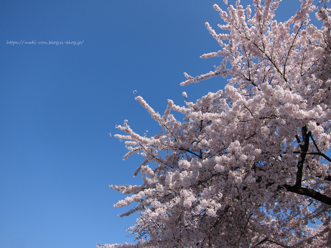 IMG_5615.png