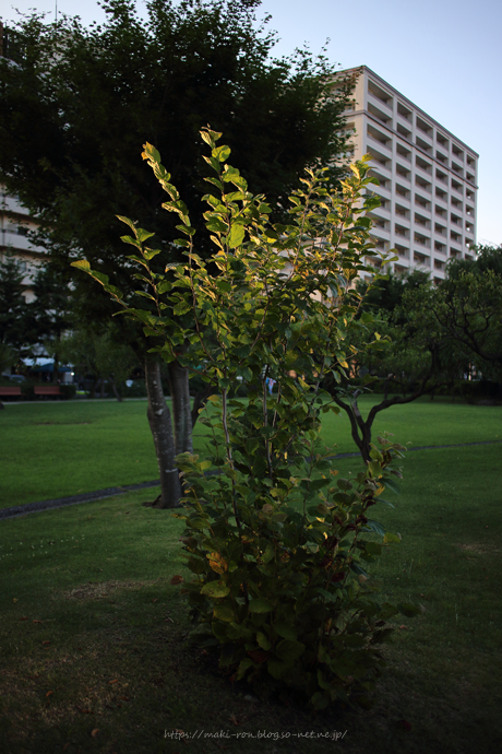 IMG_5620.png