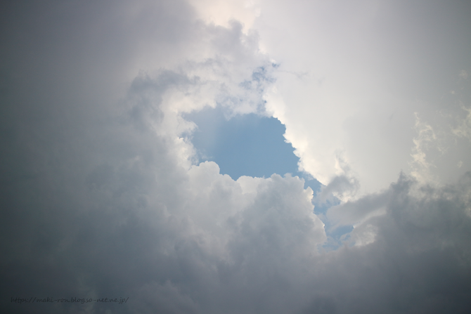 IMG_5638.png