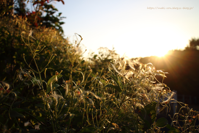 IMG_5653.png