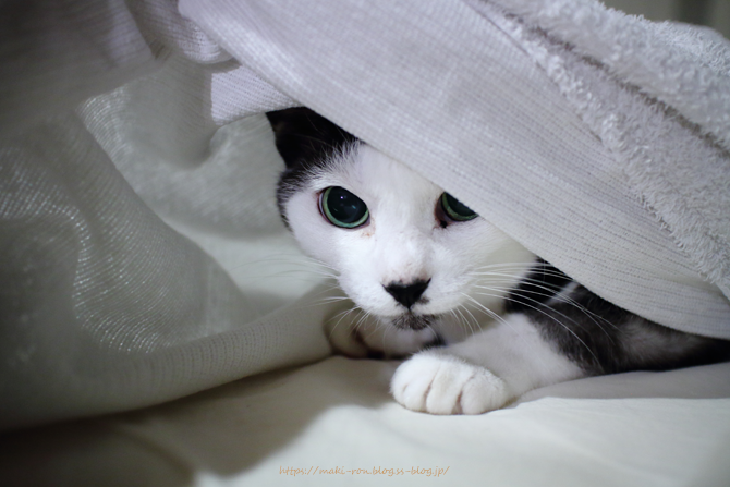 IMG_5672.png