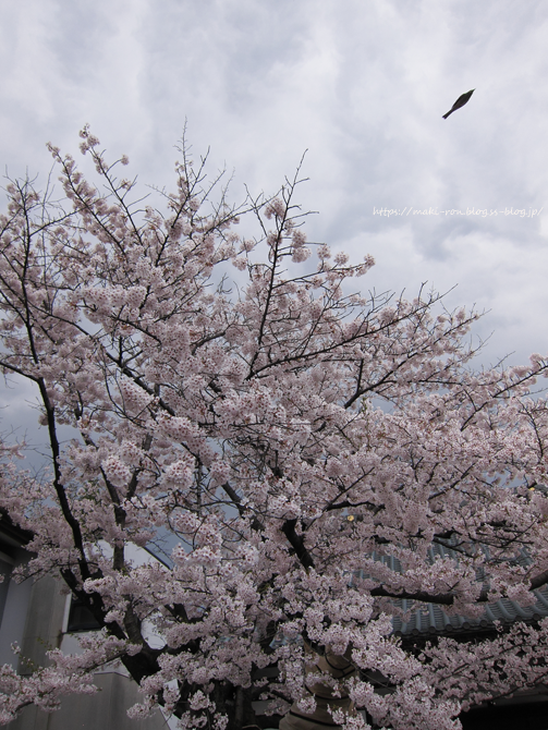 IMG_5673.png
