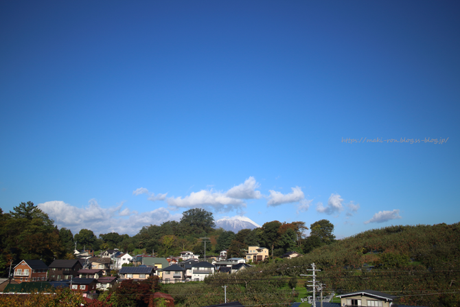IMG_5691.png