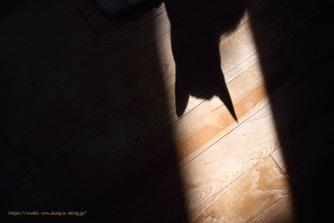 IMG_5721.png