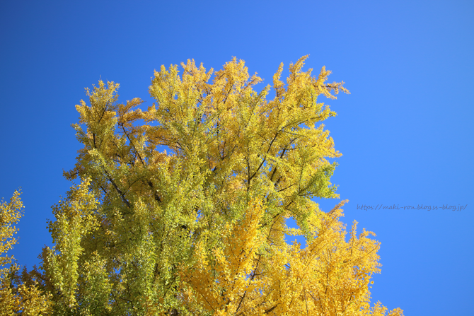 IMG_5736.png