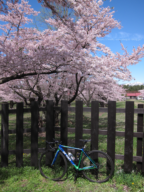 IMG_5747.png