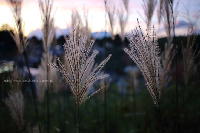 IMG_5816.png