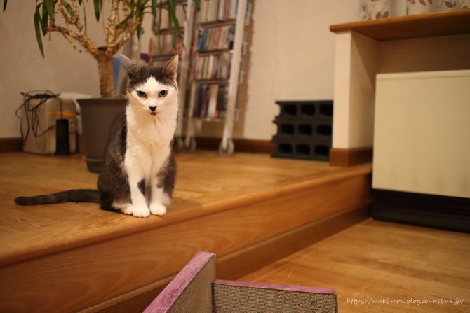 IMG_5888.png