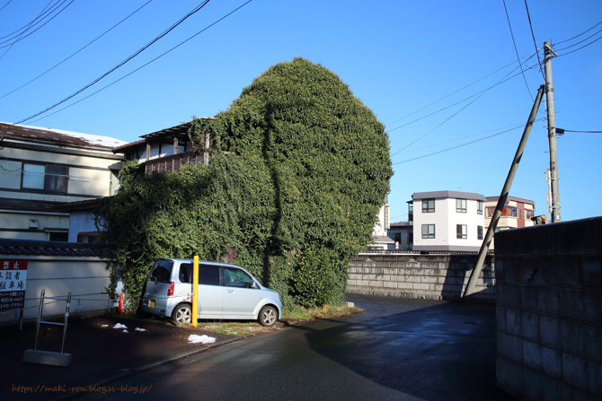 IMG_5913.png