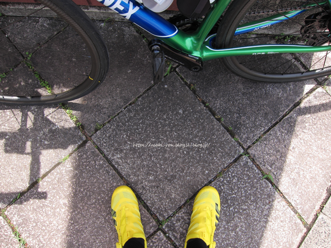IMG_5921.png