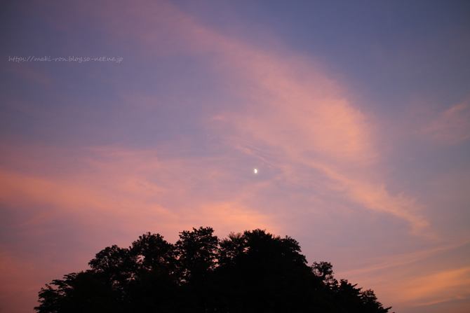 IMG_5933.png