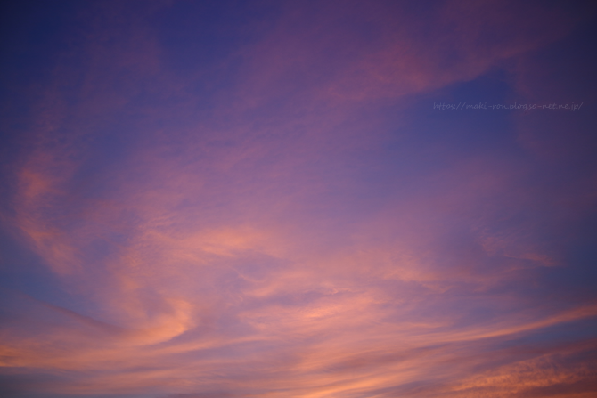 IMG_5940.png
