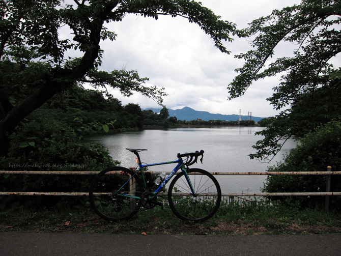 IMG_5952.png