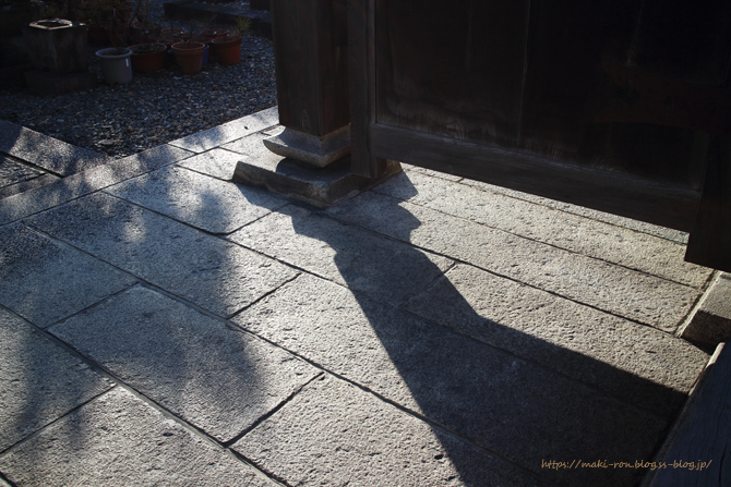 IMG_5953.png