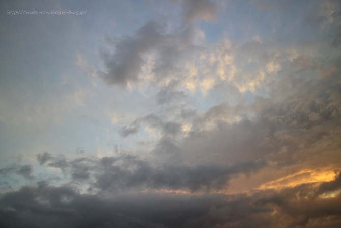 IMG_5987.png