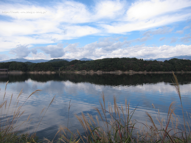 IMG_6042.png