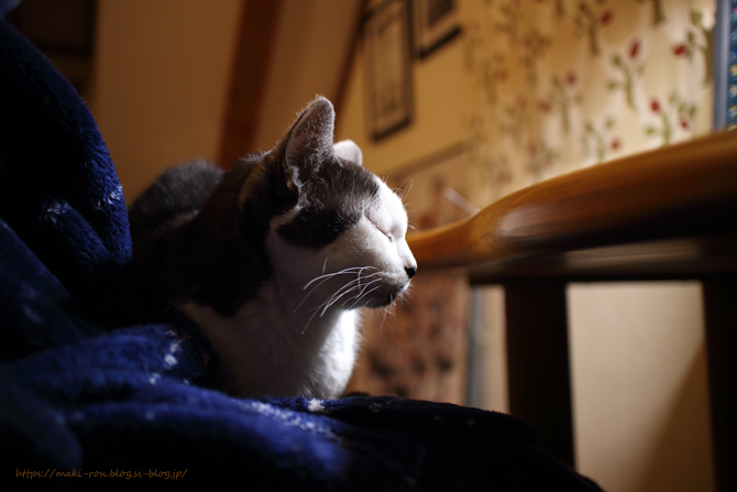 IMG_6082.png
