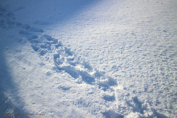 IMG_6192.png