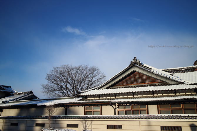 IMG_6199.png