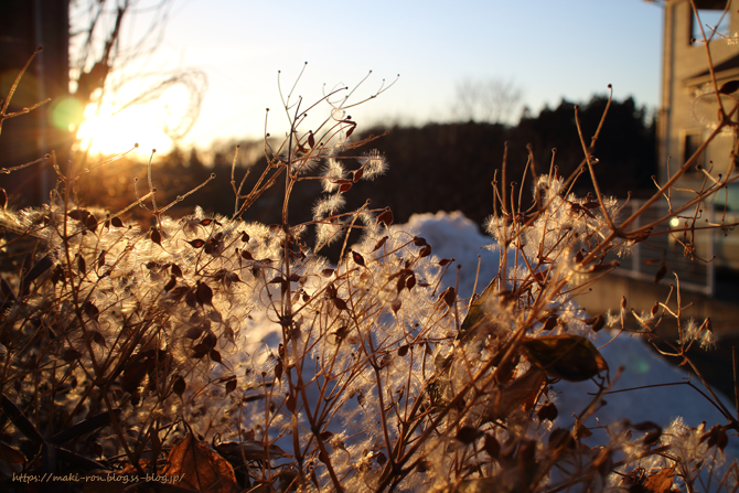 IMG_6214.png