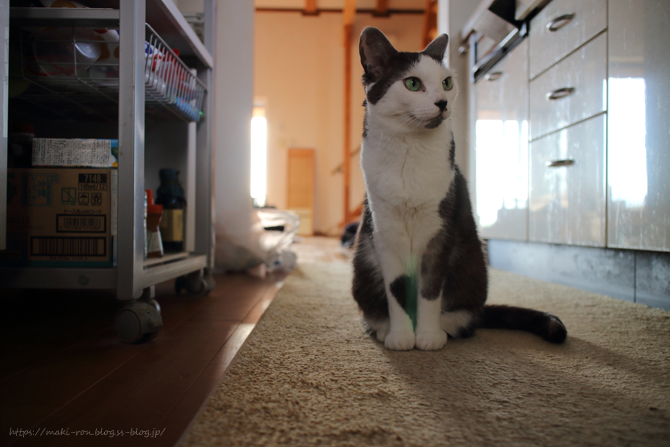 IMG_6222.png