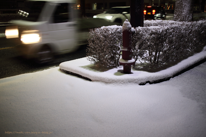 IMG_6248.png