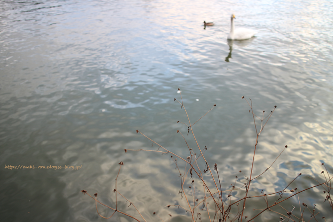 IMG_6299.png
