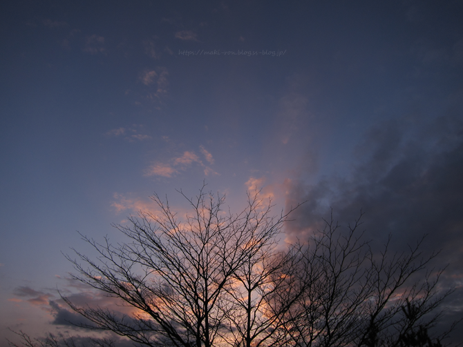 IMG_6335.png