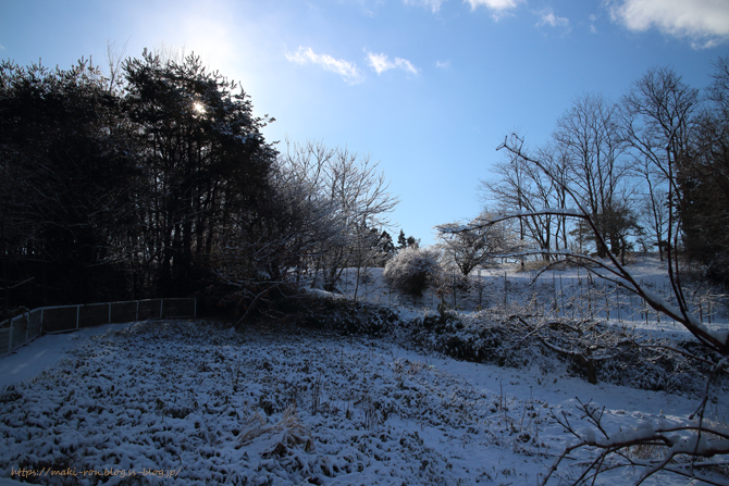 IMG_6383.png