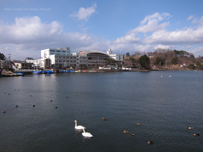 IMG_6400.png