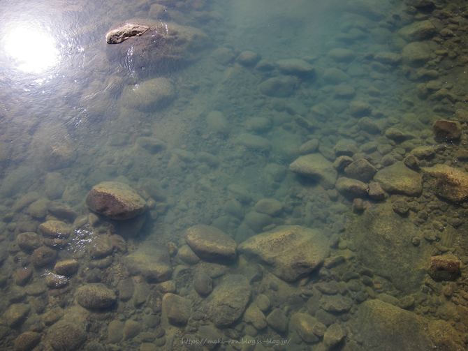 IMG_6424.png