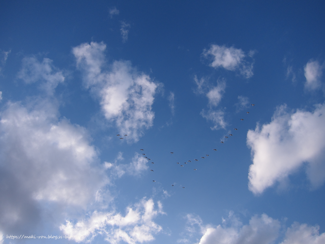 IMG_6437.png