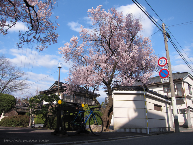 IMG_6490.png