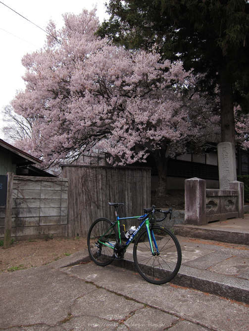 IMG_6507.png