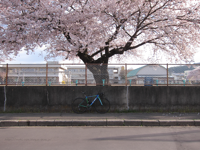 IMG_6516.png