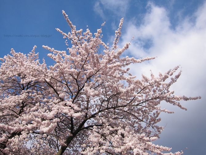 IMG_6519.png