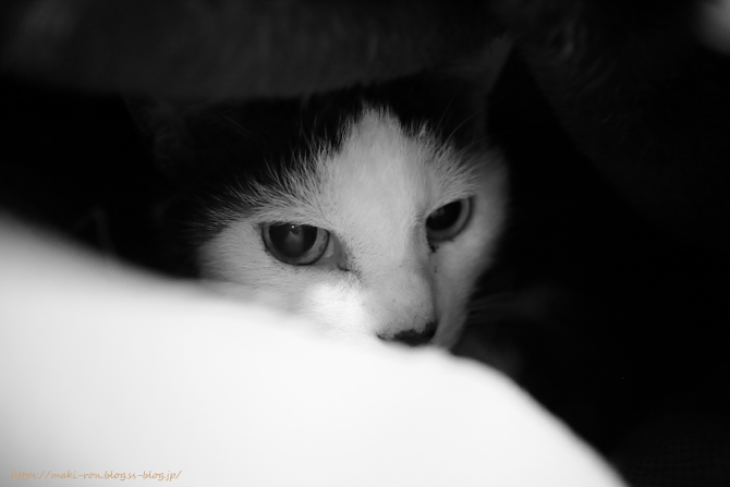 IMG_6526.png
