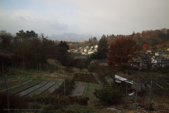 IMG_6531.png