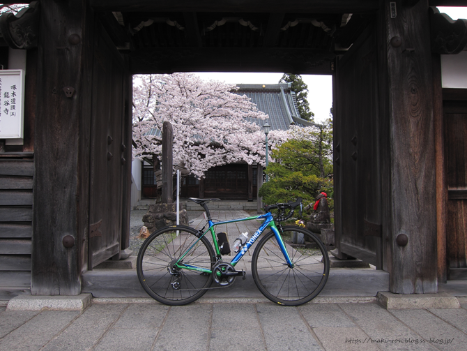 IMG_6543.png