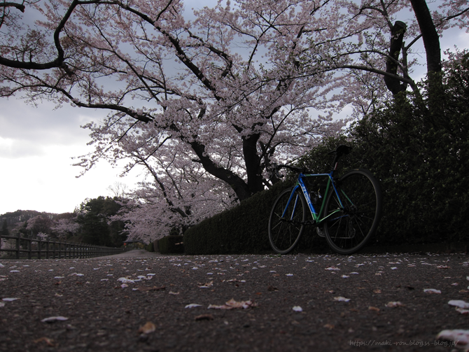 IMG_6549.png