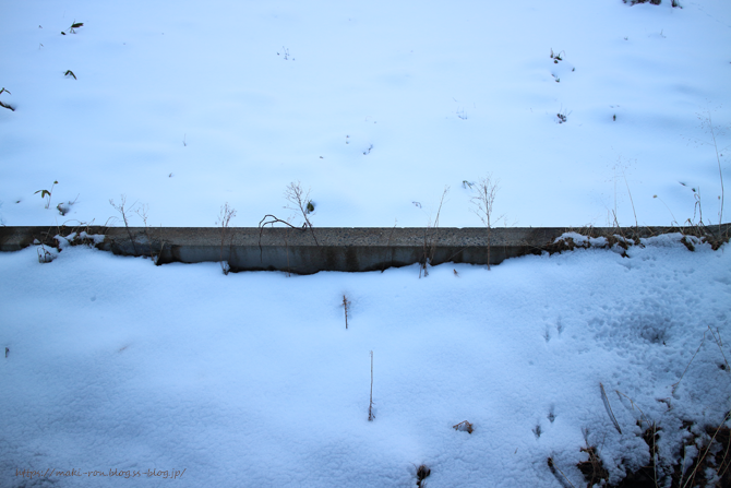 IMG_6575.png