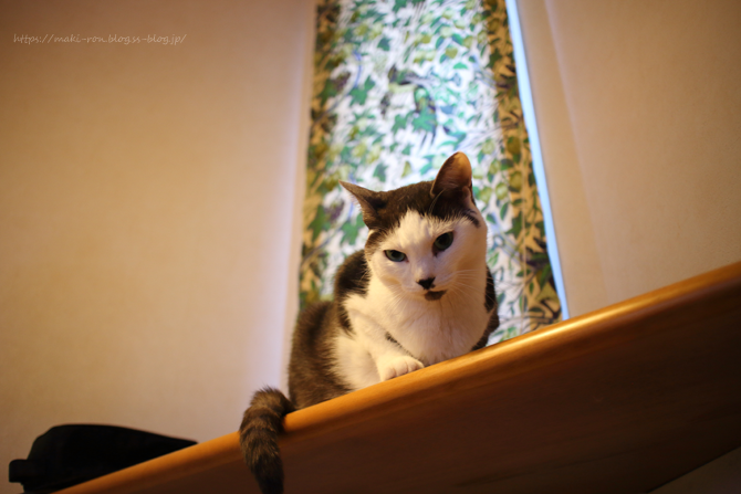 IMG_6578.png