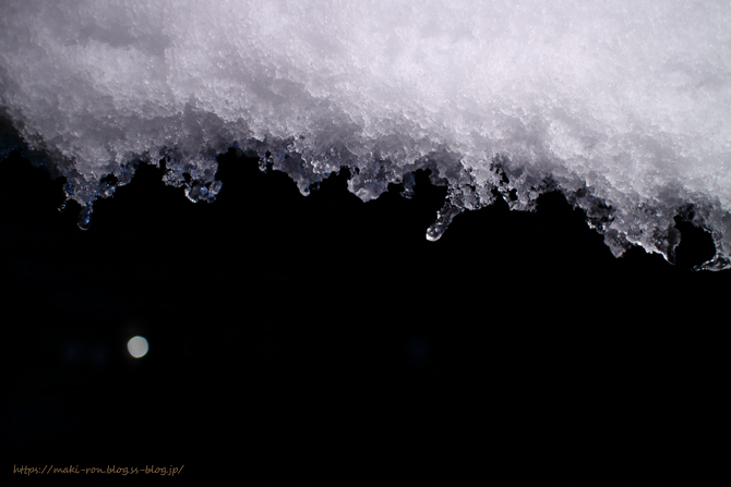 IMG_6586.png