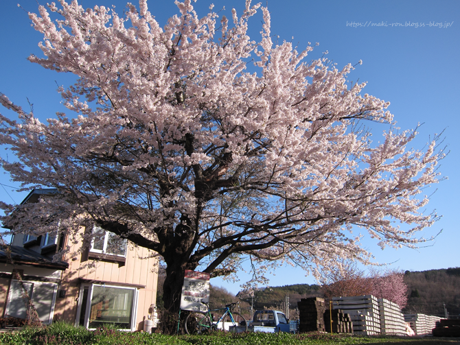 IMG_6591.png