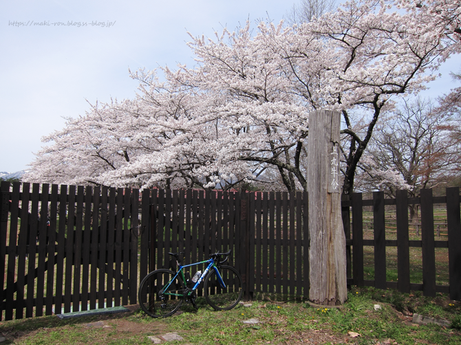 IMG_6608.png