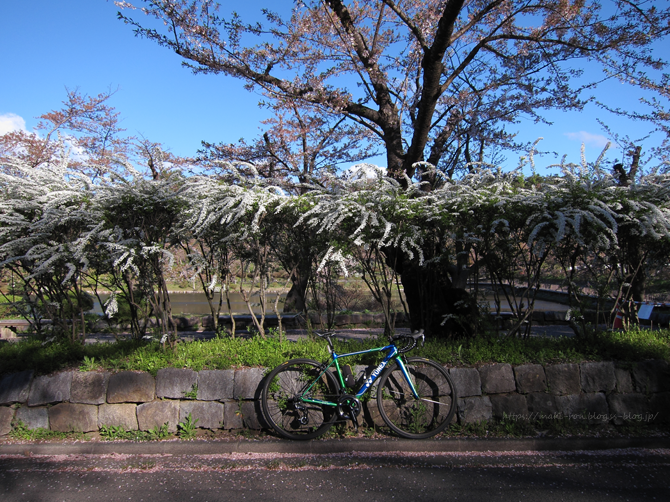 IMG_6629.png
