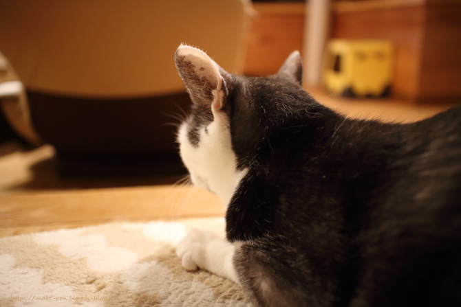 IMG_6713.png